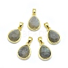 Natural Labradorite Pendants LS-G-O176J-07G-1