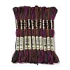 10 Skeins 6-Ply Polyester Embroidery Floss OCOR-K006-A04-1