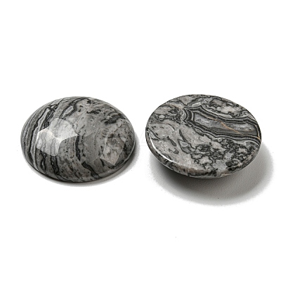 Natural Map Stone Cabochons G-C115-02B-20-1