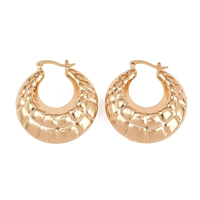 Brass Hoop Earrings EJEW-H168-07G-1