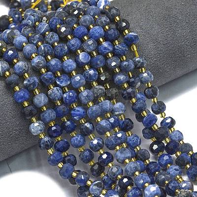 Natural Sodalite Beads Strands G-K389-E74-01B-1