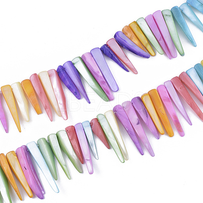 Freshwater Shell Beads Strands SHEL-S276-29B-1
