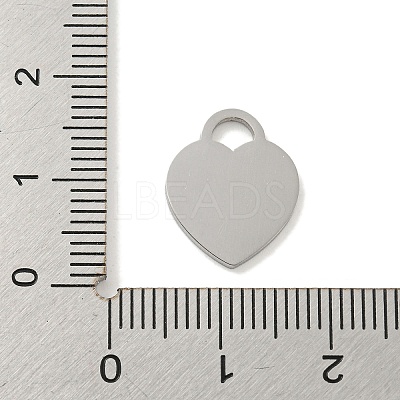 Non-Tarnish 304 Stainless Steel Pendants FIND-M017-01P-C-1