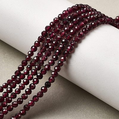 Natural Garnet Beads Strands X-G-I341-09B-01-1