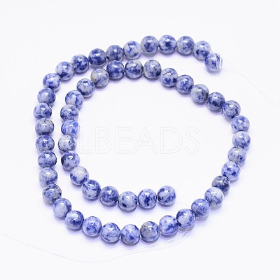 Natural Blue Spot Jasper Bead Strands X-G-F425-26-1