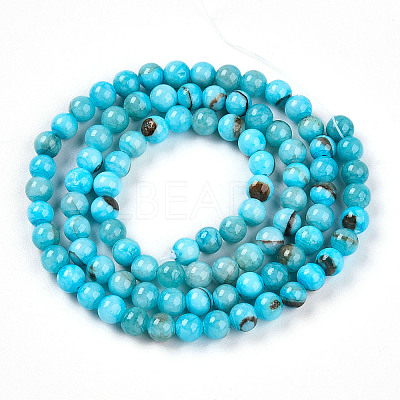 Natural Persian Jade Beads Strands G-A255-A02-04H-1