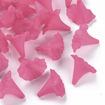 Transparent Acrylic Beads BSF796-C16-1