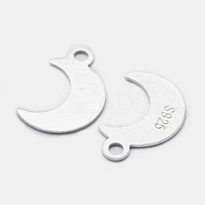925 Sterling Silver Charms STER-I014-19S-1