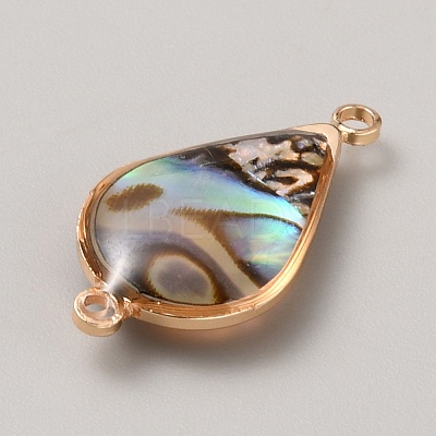 Natural Paua Shell Connector Charms LS-KK-WH0062-100KCG-A-1