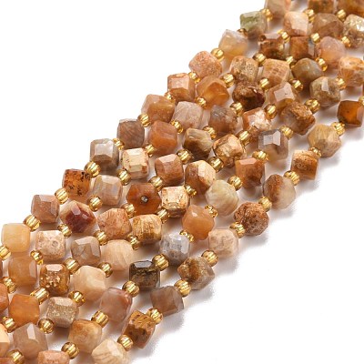 Natural Fossil Coral Beads Strands G-P463-48-1