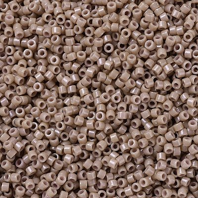 MIYUKI Delica Beads LS-X-SEED-J020-DB2105-1