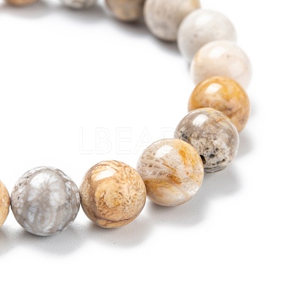 Natural Fossil Coral Stretch Beaded Bracelets G-A185-01X-1
