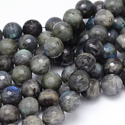 Natural Labradorite Round Bead Strands G-O094-06-16mm-1