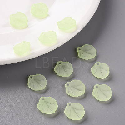 Transparent Frosted Acrylic Pendants MACR-S371-02A-728-1
