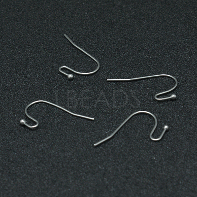 Tarnish Resistant 304 Stainless Steel Earring Hooks STAS-G140-73P-1