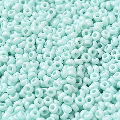 Baking Paint Glass Seed Beads SEED-P006-03A-29-1