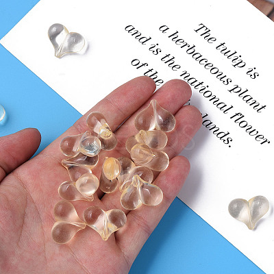 Transparent Acrylic Beads MACR-S373-70-B13-1
