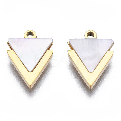 316 Surgical Stainless Steel Charms STAS-N097-043-1