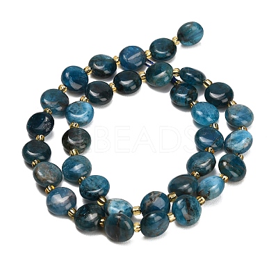 Natural Apatite Beads Strands G-H005-B14-01-1