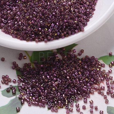 MIYUKI Delica Beads X-SEED-J020-DB0103-1