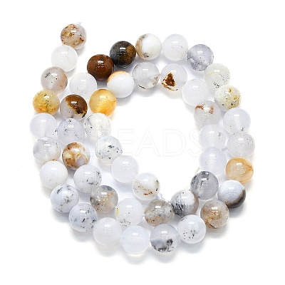 Natural White African Opal Beads Strands G-K245-A18-04-1