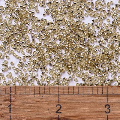 MIYUKI Delica Beads X-SEED-J020-DB2155-1