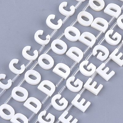 Natural Freshwater Shell Beads SHEL-T012-59-1