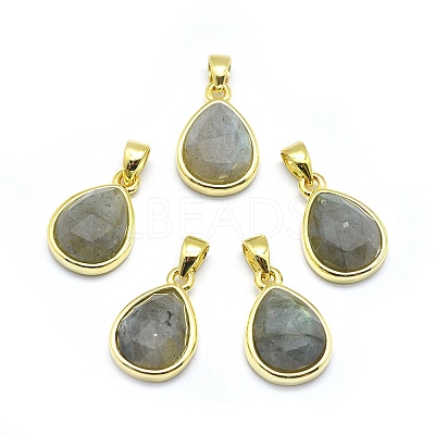 Natural Labradorite Pendants LS-G-O176J-07G-1