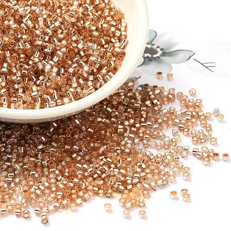 Glass Seed Beads X-SEED-S042-04B-17-1
