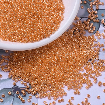 MIYUKI Round Rocailles Beads X-SEED-G007-RR0423-1