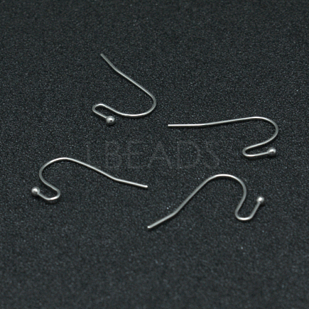 Tarnish Resistant 304 Stainless Steel Earring Hooks STAS-G140-73P-1