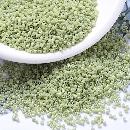 MIYUKI Delica Beads SEED-J020-DB2123-1