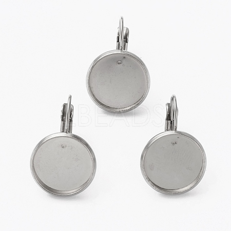 Tarnish Resistant 304 Stainless Steel Leverback Earring Findings STAS-L253-005C-P-1