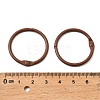 Spray Painted Iron Hinged Binder Rings IFIN-P040-01A-4