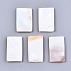 Natural Freshwater Shell Cabochons SHEL-S276-133-1