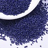 MIYUKI Delica Beads SEED-MY11-DB2143-1
