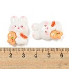 Christmas Rabbit Theme Opaque Resin Decoden Cabochons CRES-B022-04A-3