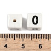 Glazed Porcelain Beads PORC-R003-07-00-3