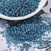 MIYUKI Delica Beads X-SEED-J020-DB2383-1