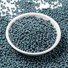 MIYUKI Round Rocailles Beads SEED-X0055-RR4479-2