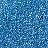 MIYUKI Round Rocailles Beads SEED-G008-RR0573-3