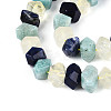 Natural Sodalite & Flower Amazonite & Lemon Quartz Beads Strands G-N358-01A-06-4