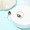 Oval Abalone Shell/Paua Shell Finger Rings RJEW-JR01032-5