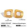 304 Stainless Steel Acrylic Nuggets Stud Earrings FS-WG2C215-03-2