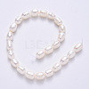 Natural Cultured Freshwater Pearl Beads Strands X-PEAR-S012-41C-3