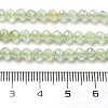 Natural Prehnite Beads Strands G-G161-A13-03-5