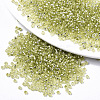 Glass Seed Beads SEED-S042-04A-02-1