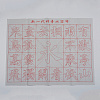 Gridded Magic Cloth Water-Writing AJEW-WH0114-76D-1
