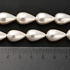 Electroplate Shell Pearl Beads Strands BSHE-G010-10x16mm-01-5