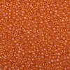 TOHO 8/0 Round Beads X-SEED-TR08-0174F-2